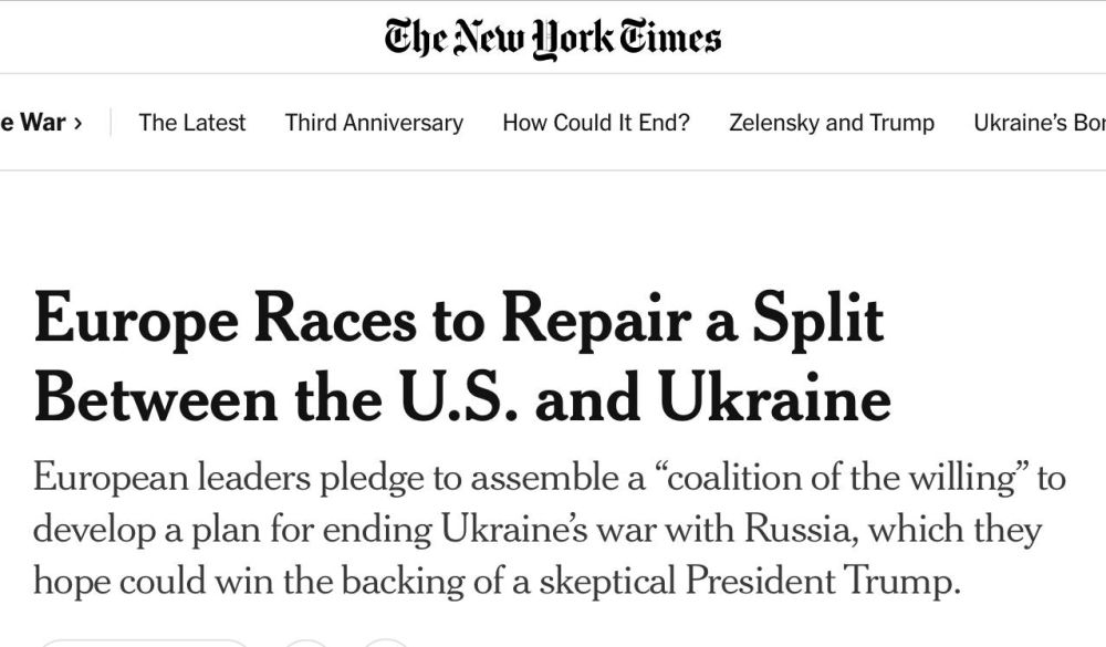  :     ,   , ,      ,      ,   New York Times