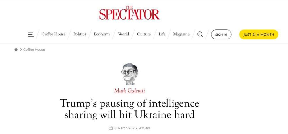  :            - The Spectator