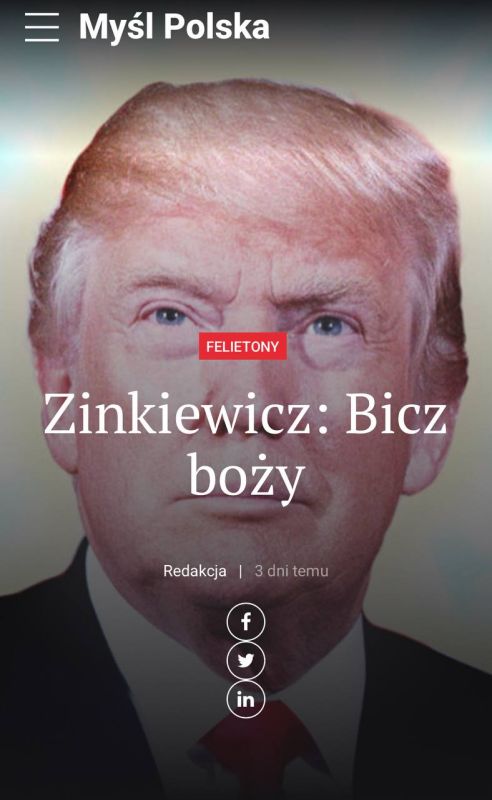  :     ,        - Myl Polska
