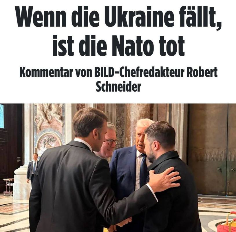  :   ,    Bild