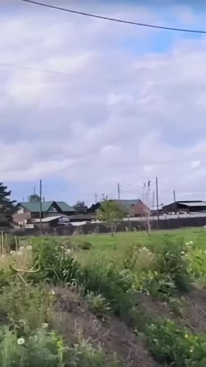 :      