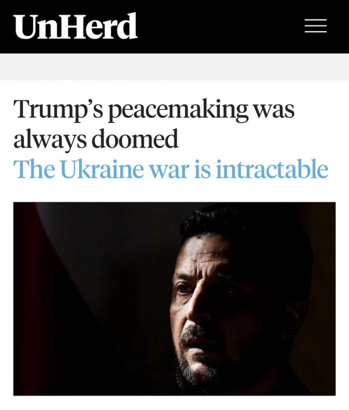  :         ,    - UnHerd