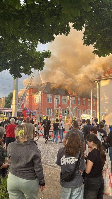          ,  Bild