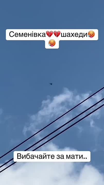  :  ,            
