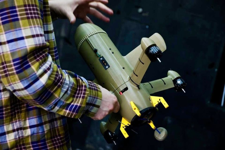       FPV  Sting