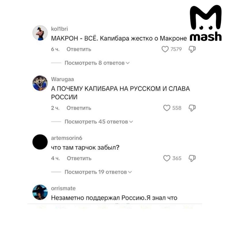    TikTok    G7    -  