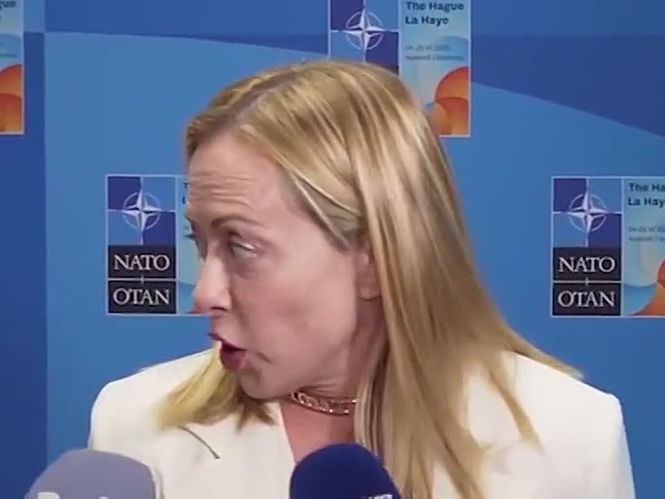  :    ,      