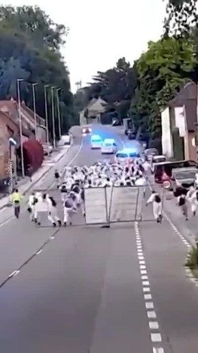     :             , ,     