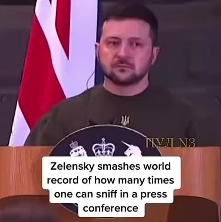  :  ,    