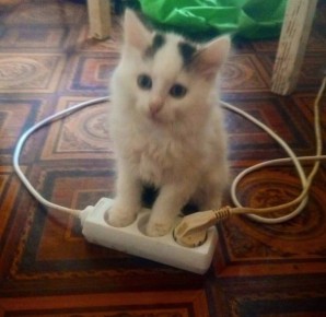  :      (!) -    .i i?     ,  ,      - 