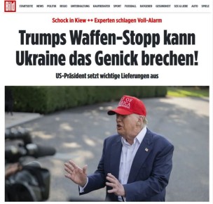   !          !  Bild   