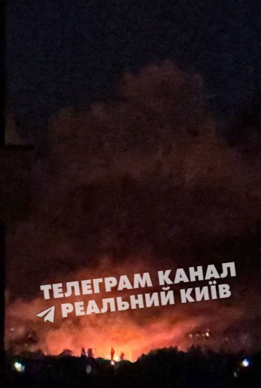    :  