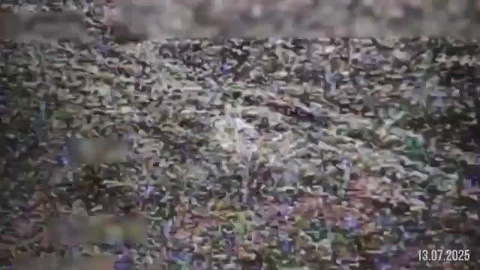 FPV    