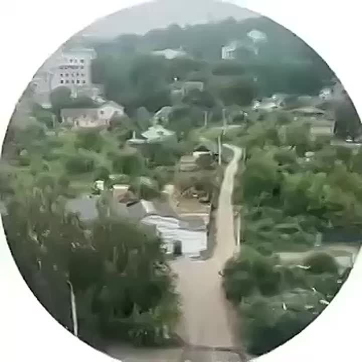        ( )   