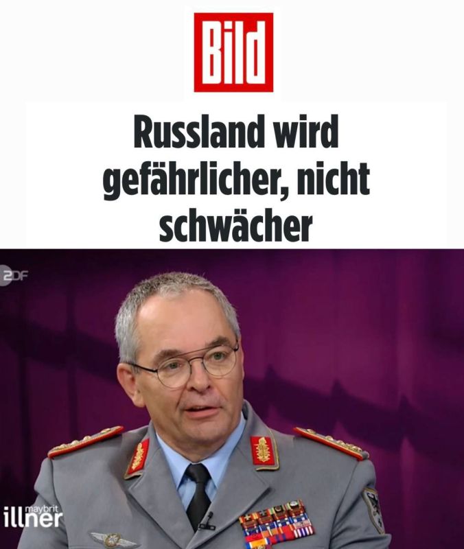  :      ,      - Bild