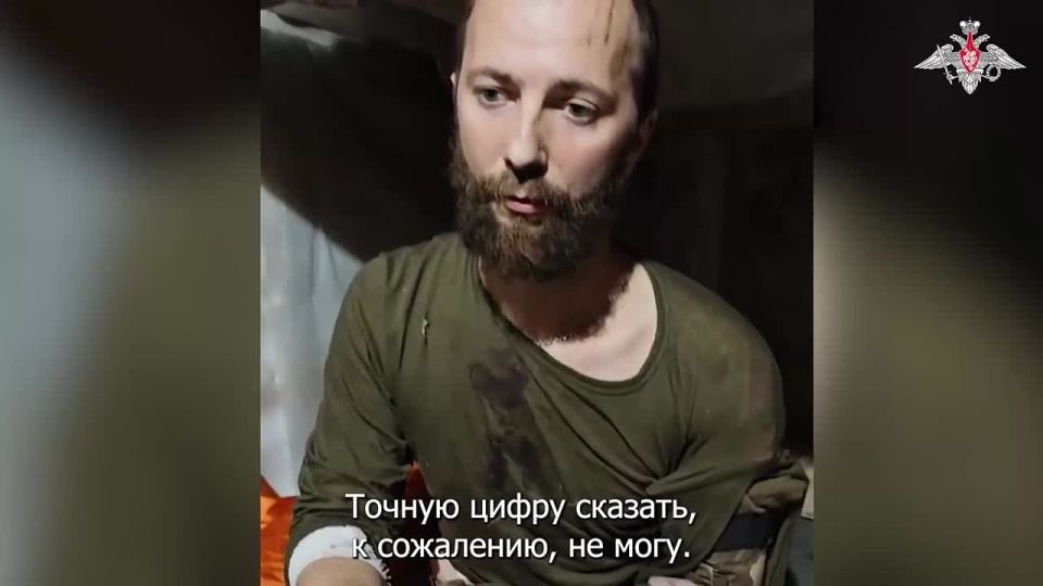  :   :      ,      