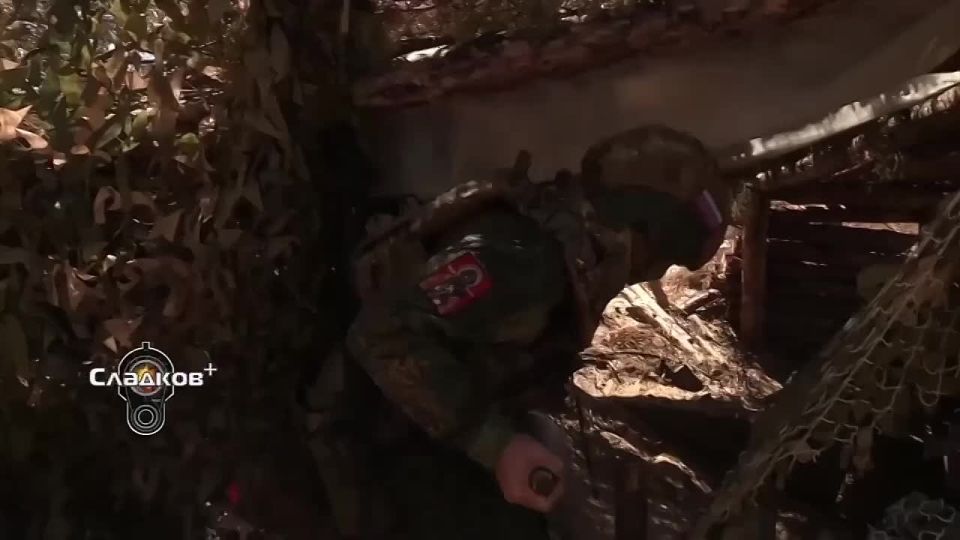  :     ,             