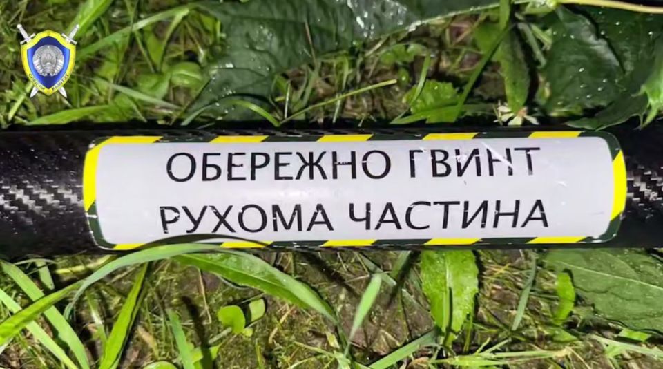   :    