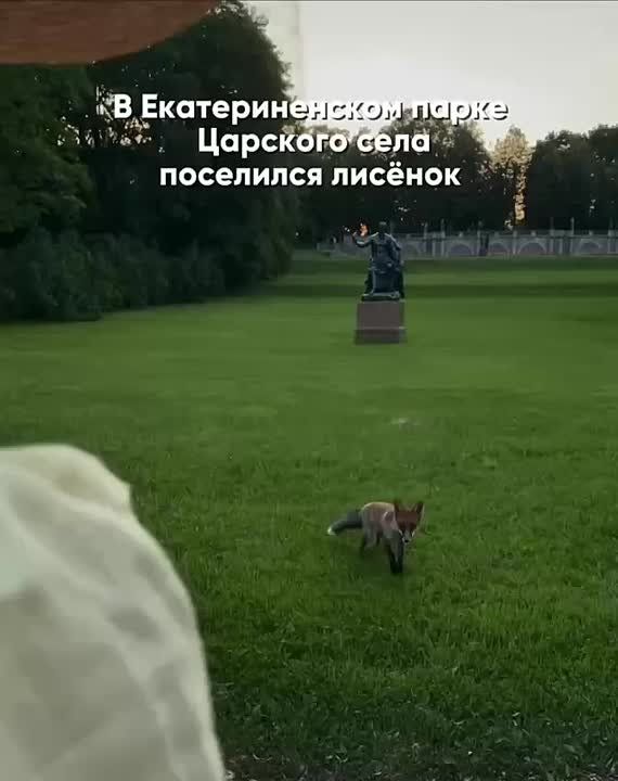  :           ,    ,   50%        31 :