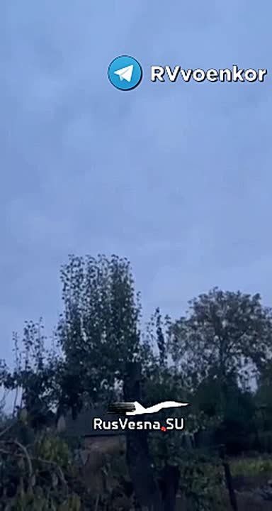 !        -  