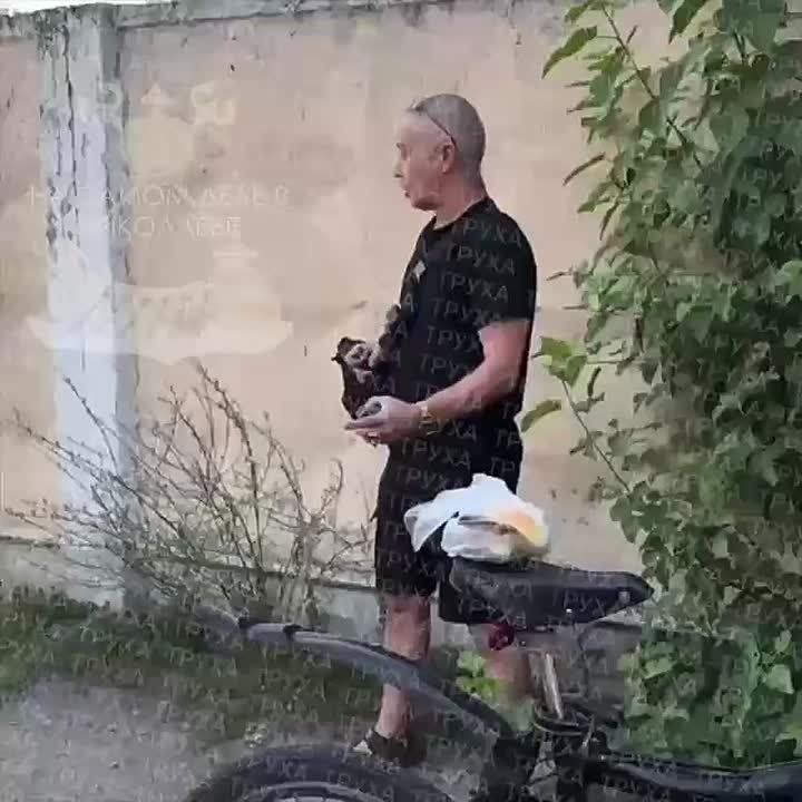   ,       ,     