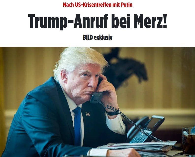       ,       ,  ,  Bild