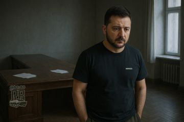  :         ,  Neue Zrcher Zeitung