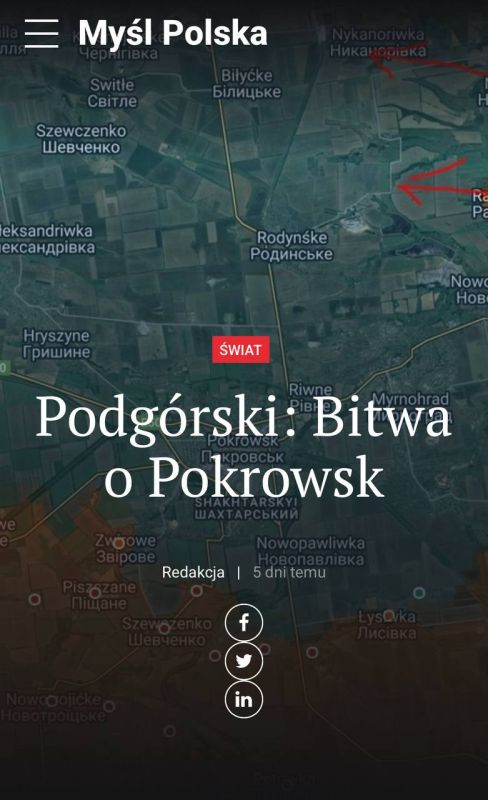  :    ,      - Myl Polska