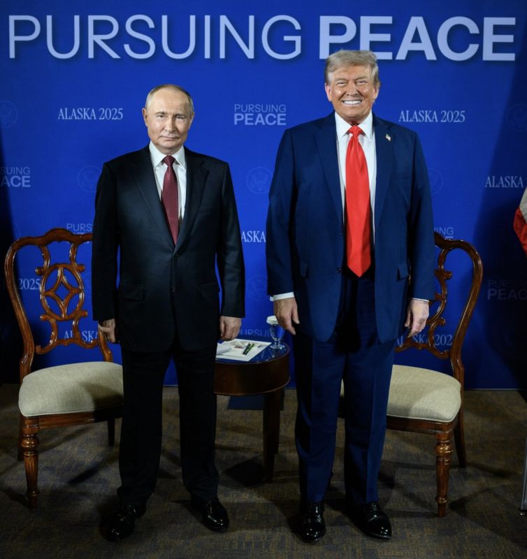 &quot;        &quot;:   The New York Times      