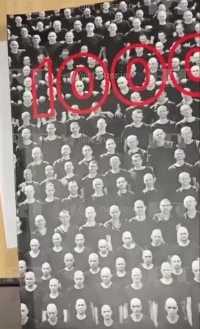 , :        1000  ,    