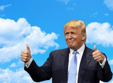  :  ,      ,    