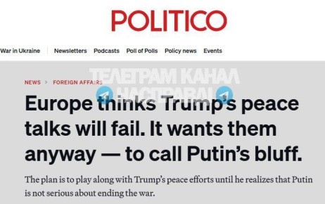         ,  Politico