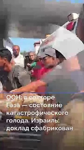  ,    :
