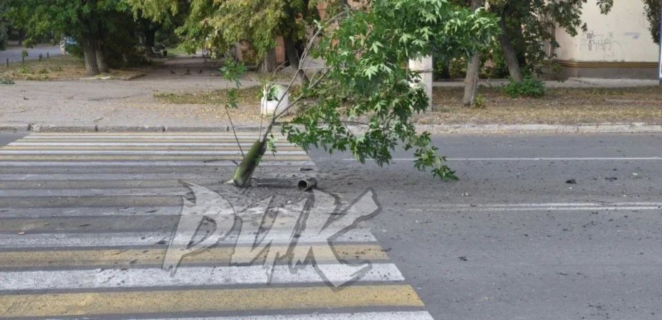 WarGonzo:        