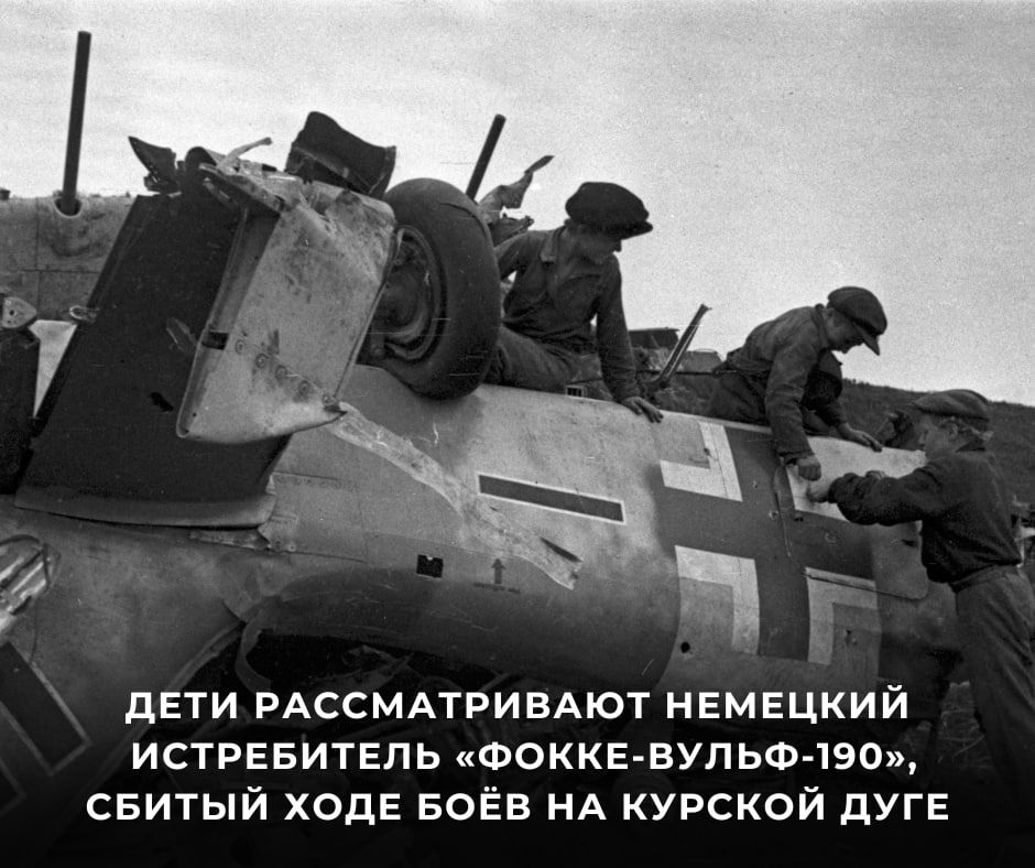 #80. 23  1943                ,         ...