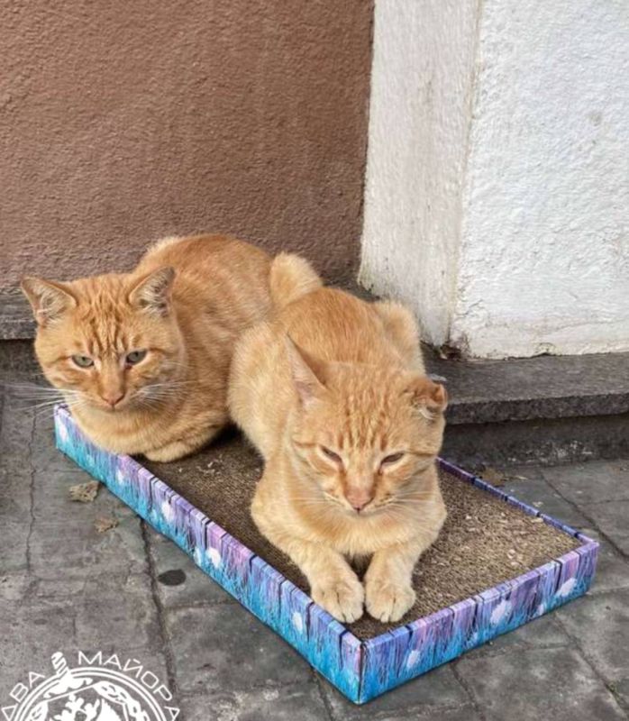  :   