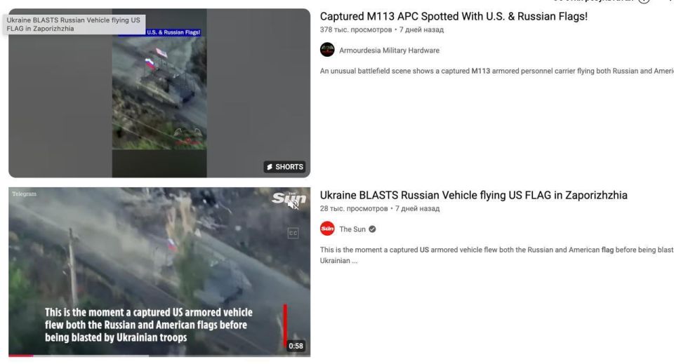 RT     113     