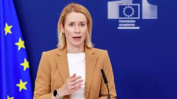 Аналитик Кошкович раскритиковал заявление Каллас о России и ее активах