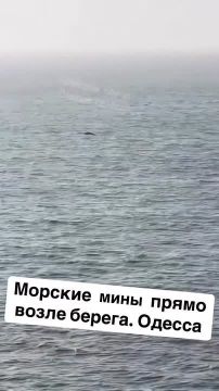 Юлия Витязева: ВМФ Украины подтверждает подрыв гражданского сухогруза на «неустановленном взрывном устройстве»