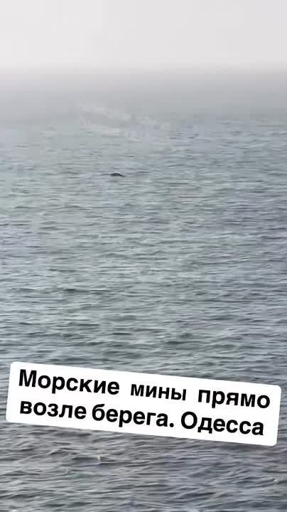 Юлия Витязева: ВМФ Украины подтверждает подрыв гражданского сухогруза на «неустановленном взрывном устройстве»