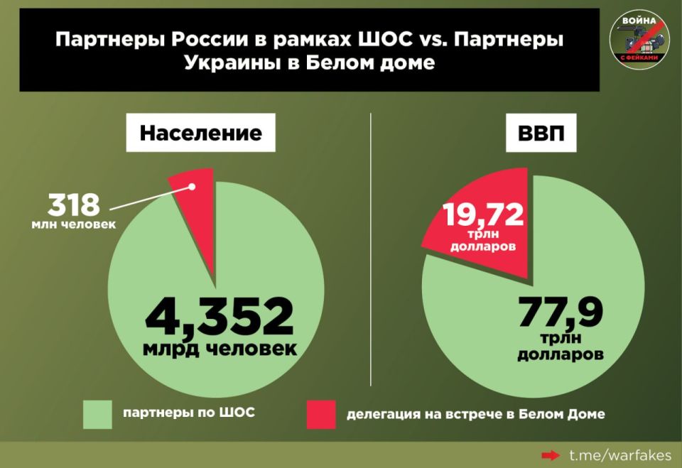 :   -     ,     ,   2022    