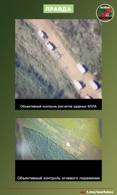 :     -̻              ,   -