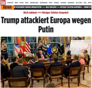 Bild        ,        