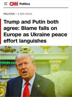      ,           : CNN ,    -    ,       