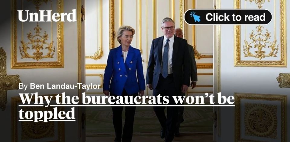  : UnHerd ():       ,     