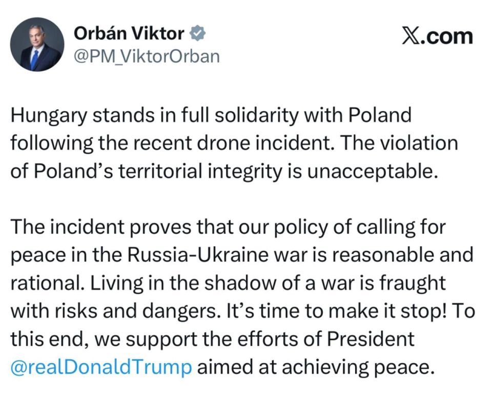 Елена Панина: Орбан опасается перехода украинского конфликта на территорию ЕС