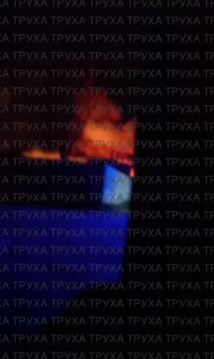   :       