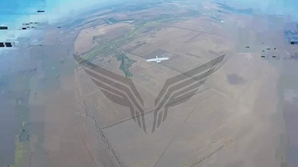  :  &quot;&quot;  1000  