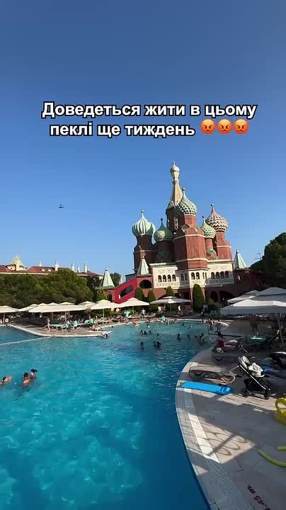  -   ,   