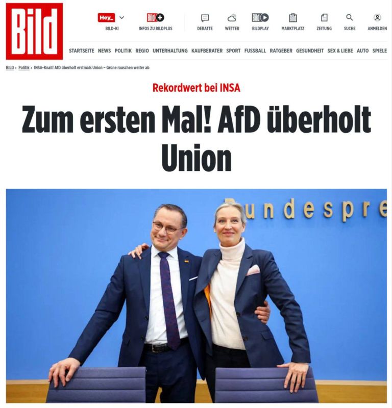  :    AfD    